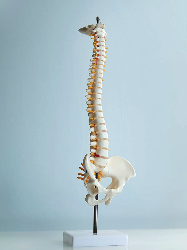 Chiropractic Adjustment in Charleston SC - Axis Chiro Care
