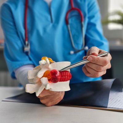 A doctor demonstrates a herniated disc on a spine model to explain how chiropractic adjustments relieve nerve pressure and improve spinal health.