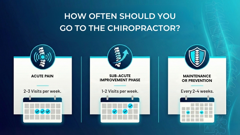 Infographic showing recommended chiropractic visit frequency: 2–3 times per week for acute pain, 1–2 times per week during the sub-acute improvement phase, and every 2–4 weeks for maintenance or prevention.